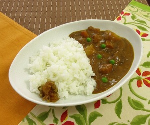 カレーライス030113B