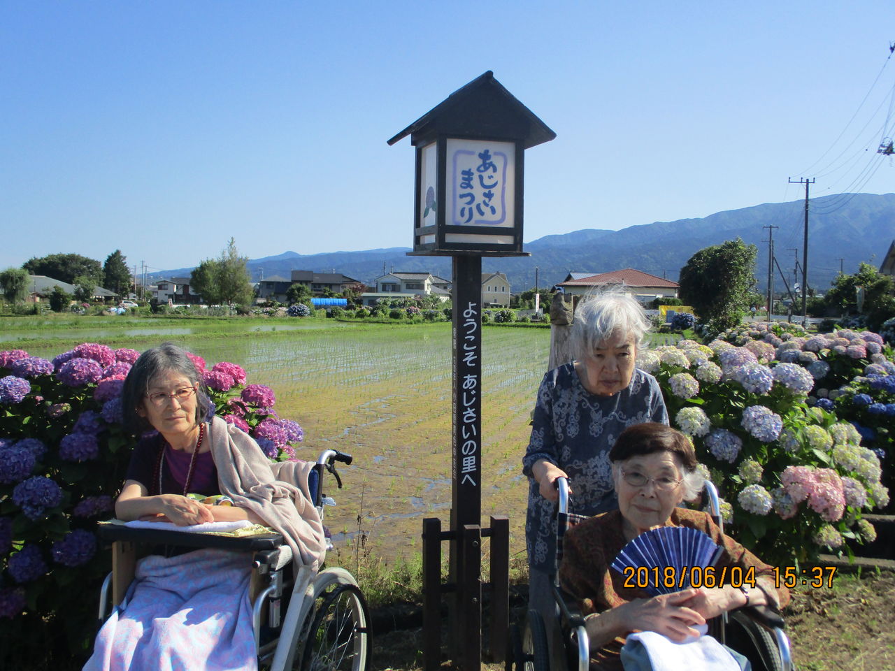 最高の天気 最高の紫陽花 らいふ愛甲石田のblog 最高の天気 最高の紫陽花 らいふ愛甲石田のblog