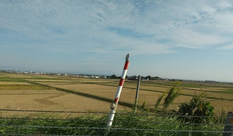 DSC_1971