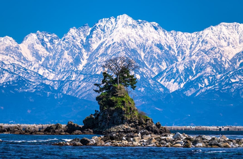 Screenshot_20260117-114034