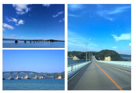 Screenshot_20260110-210942