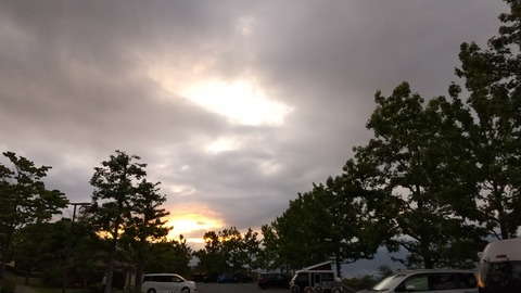 DSC_1533