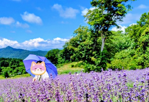 25-08-08-12-07-05-768_deco~3