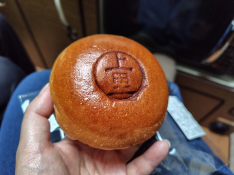 251123081737451