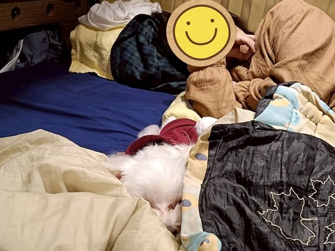 26-01-28-14-04-26-213_deco