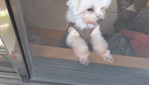 IMG_2023-12-16-12-10-34-874