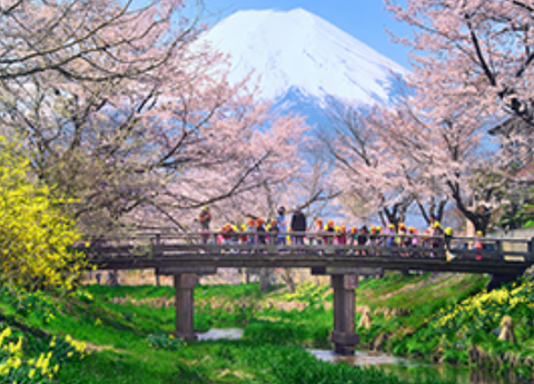 Screenshot_20230424-000058