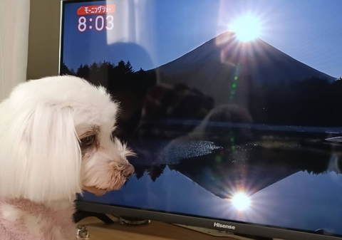 Screenshot_20260101-202152~3