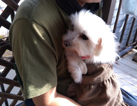 IMG_2023-12-16-12-14-02-716