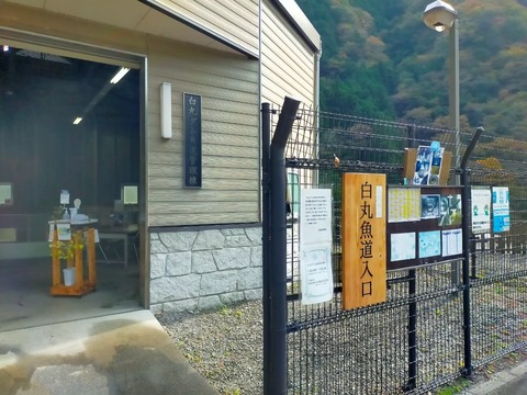 line_309094012983025