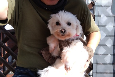 IMG_2023-12-16-12-17-56-946