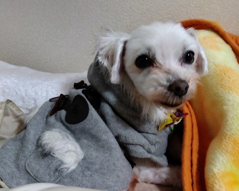 IMG_2023-02-19-07-44-04-770