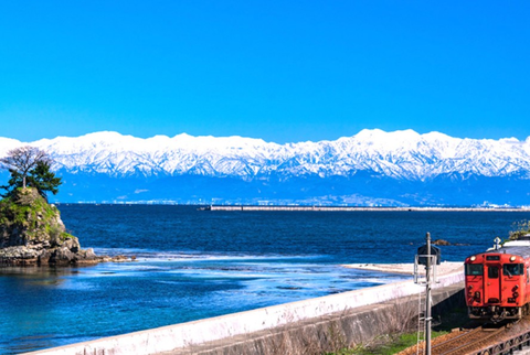 Screenshot_20260117-114336