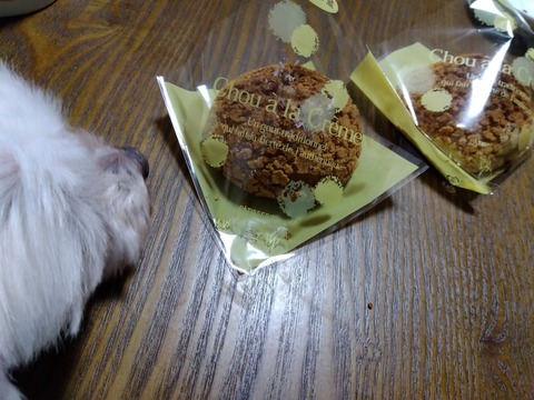 IMG_2023-04-08-19-06-01-122