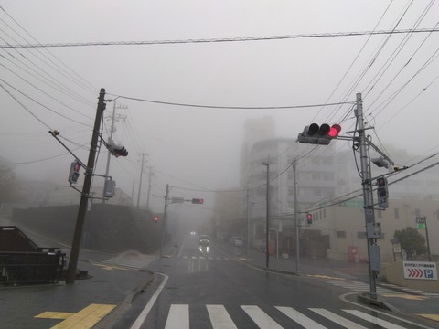 IMG_2023-04-15-11-09-23-816