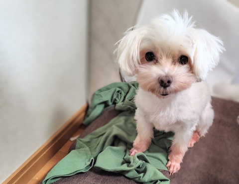 Screenshot_20251026-180809~3