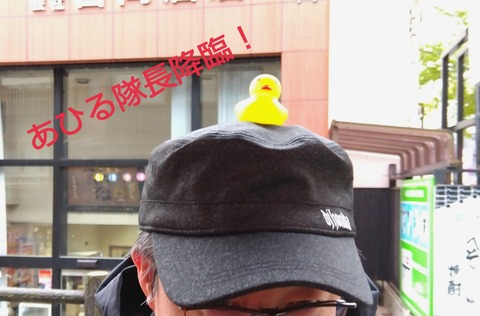 23-05-15-17-52-49-343_deco