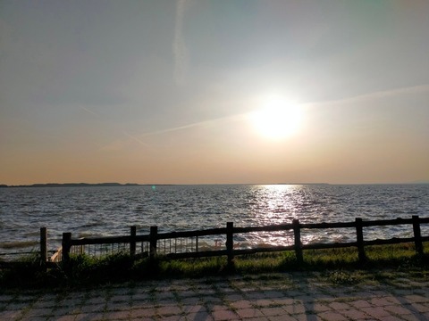 line_617331426342784