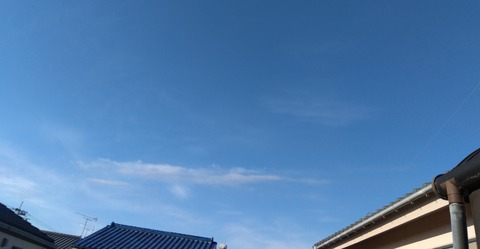 IMG_2023-12-24-09-17-23-376