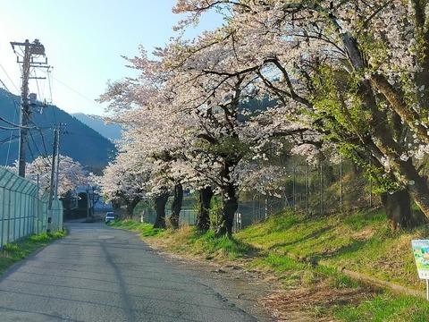 line_236634679667124
