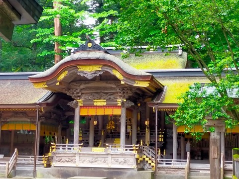 line_207513676414691