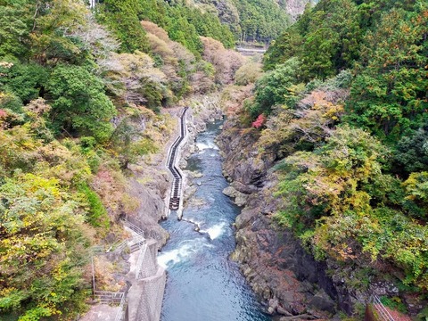 line_309096411256462