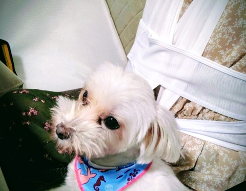 Screenshot_20251115-230609~5