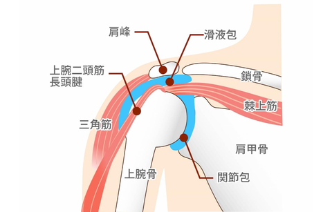 Screenshot_20251214-233200~2