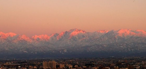 Screenshot_20260113-120241