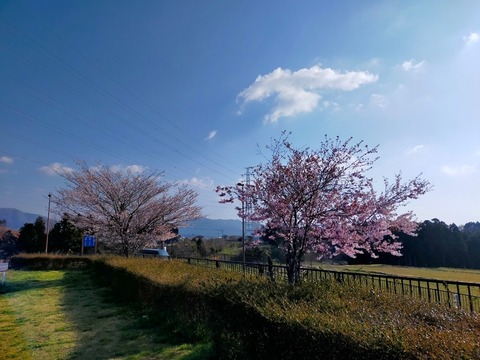 line_236641303527851
