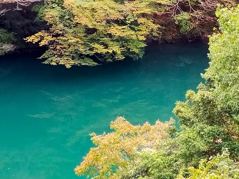 line_309096023261618