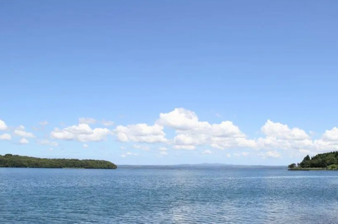 Screenshot_20260113-113243