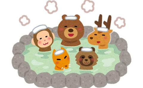 Screenshot_20260210-124821