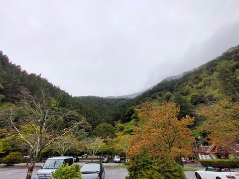 line_241244806889272