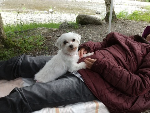 HORIZON_0001_BURST20210522105837501_COVER