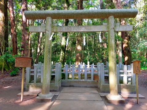 line_477586343875051