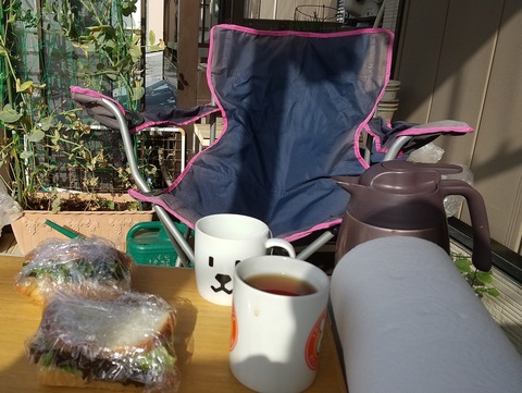 HORIZON_0001_BURST20210504071547406_COVER