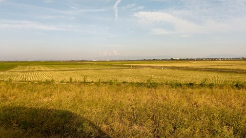 DSC_1974