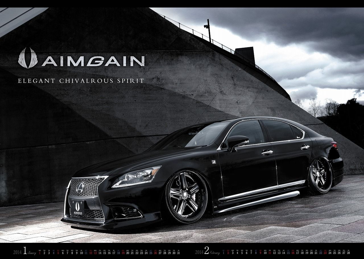 AIMGAIN2014 AIMGAIN AIMGAIN2014 AIMGAIN