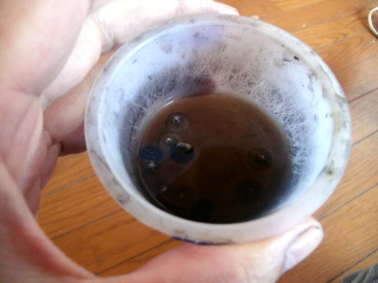 車輪の黒染めをやってみる にゃんまるらぼ 鉄道 情景模型製作記