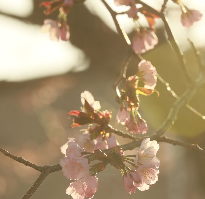 20220427163306_0Y4A1566_1_1