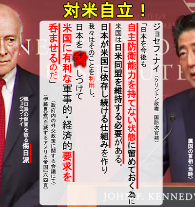 対米自立 日本を自主防衛能力を持てない状態に留めておく為に、アメリカは日米同盟を維持する必要 ジョセフ・ナイ