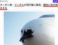 鳥がぶつかるだけで穴が空く。鉄筋ビルは崩壊しません06
