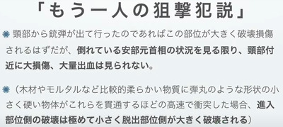 単独犯説の矛盾解消の仮設10