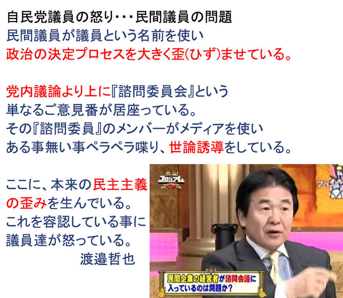 民間議員
