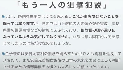 単独犯説の矛盾解消の仮設19