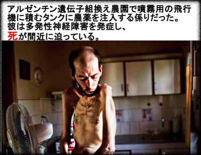 遺伝子組換えのお米s