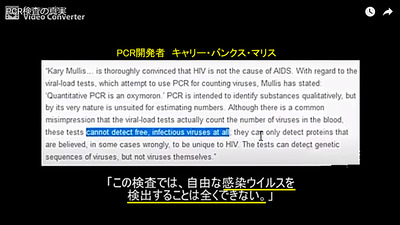 キャリー・マリス　PCR