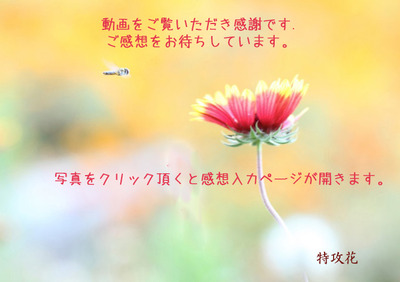 感想ください