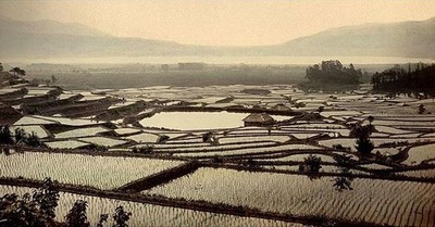 諏訪湖近くの千枚田 Fasari撮影